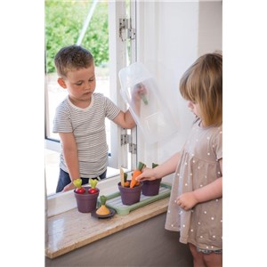 GREEN GARDEN Mini szklarnia z roślinami