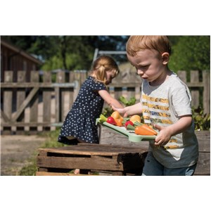 GREEN GARDEN Mini szklarnia z roślinami