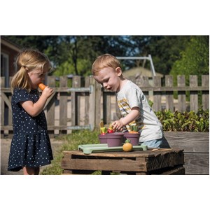 GREEN GARDEN Mini szklarnia z roślinami