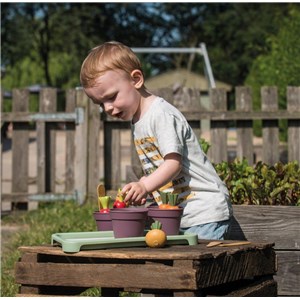 GREEN GARDEN Mini szklarnia z roślinami