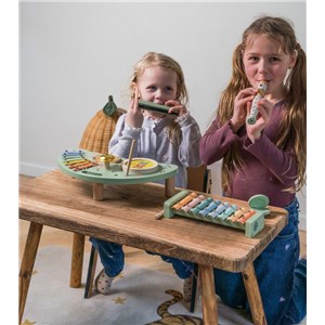 Drewniany zestaw instrumenty muzyczne DANTOY