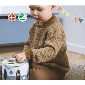 Sorter kształtów Dantoy 10+ m-cy