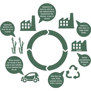 BIO zestaw do pieczenia