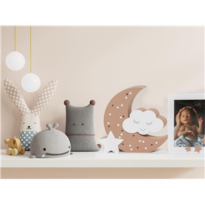 Ramka do zdjęć z lampką LED Moonlight DOOKY rose