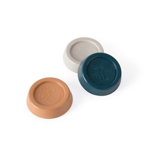 BIO Gra w klasy z kredą