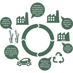 BIO Gra w klasy z kredą