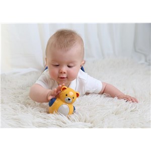 Miś Roly Poly TOLO Bio 6m+