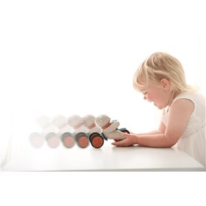 Miś Push and Go TOLO Bio 12m+