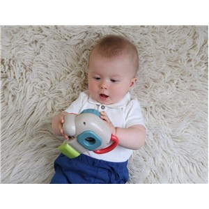 Foto aparat Baby TOLO Bio 12m+