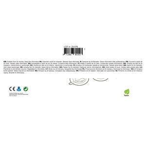 BIO zestaw do herbaty Tea set