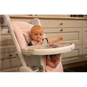 B-Talerzyk silikonowy Bear z przyssawką Grey