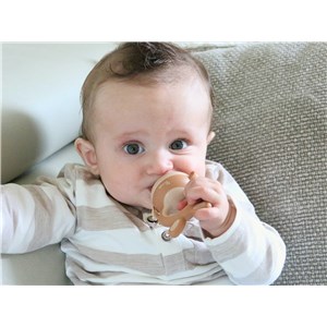 Smoczek do owoców Foxy 4w1 silikonowy podajnik