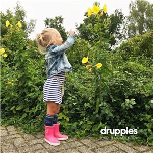 Kalosze FASHION BOOT Druppies pink26