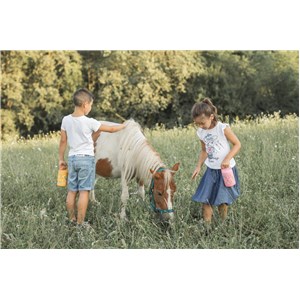 Termos obiadowy dla dzieci 350ml Lew SASSI