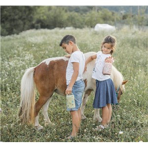 Termos obiadowy dla dzieci 350ml Dinozaur SASSI