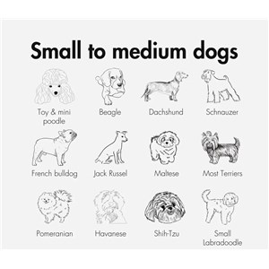 Fotelik koszyk rowerowy dla psa KVISP grey M