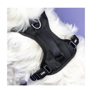 Szelki bezpieczeństwa do fotelika/kosza KVISP - S