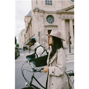 Fotelik koszyk rowerowy dla psa KVISP green S