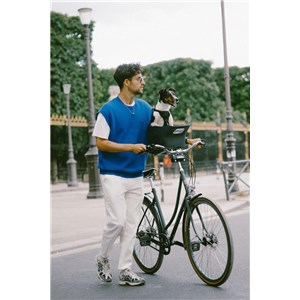 Fotelik koszyk rowerowy dla psa KVISP green S