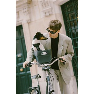 Fotelik koszyk rowerowy dla psa KVISP green S