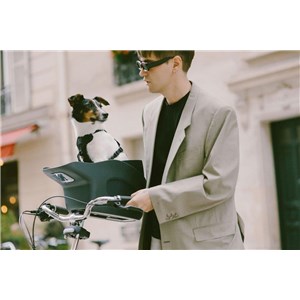 Fotelik koszyk rowerowy dla psa KVISP green S