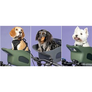 Fotelik koszyk rowerowy dla psa KVISP green S