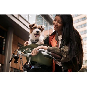 Fotelik koszyk rowerowy dla psa KVISP grey S