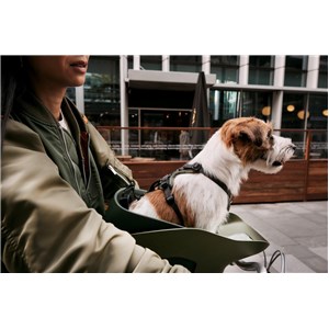 Fotelik koszyk rowerowy dla psa KVISP grey S