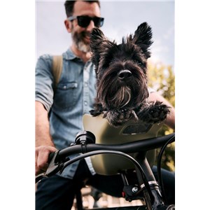 Fotelik koszyk rowerowy dla psa KVISP grey S