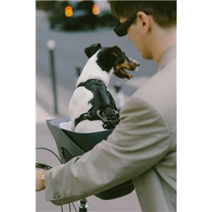 Fotelik koszyk rowerowy dla psa KVISP grey S