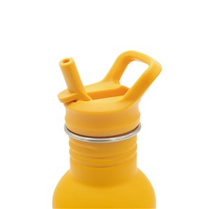 Butelka na wodę bidon 500 ml Lew SASSI